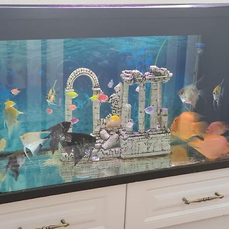 Apartamenti8 Korca Kültér fotó